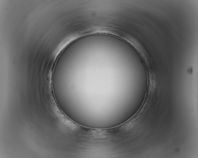 X0000111661198200907171602
