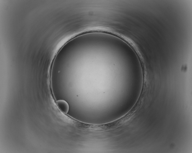 X0000111661199200907171602