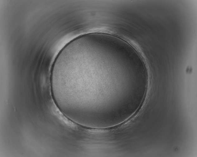 X0000111661200200907171602