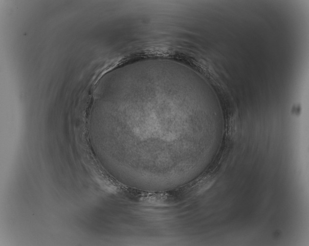 X0000111661201200907171601