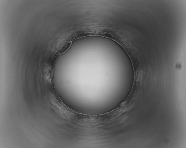 X0000111661202200907171601