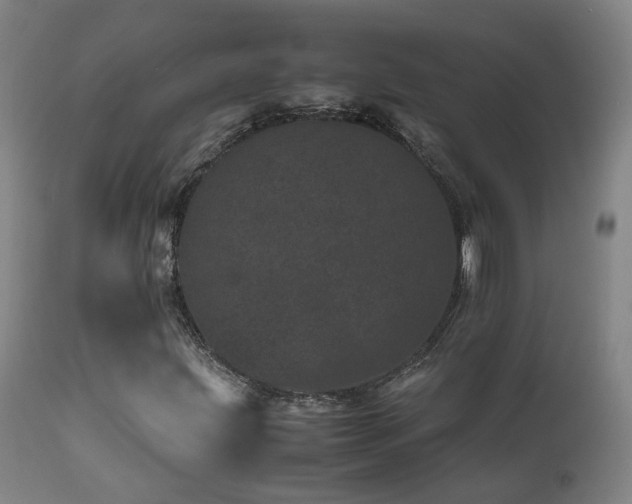 X0000111661203200907171601