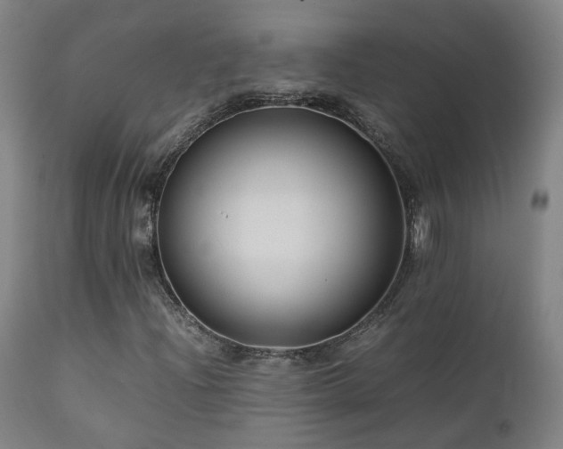 X0000111661204200907171601