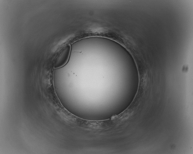 X0000111661205200907171601