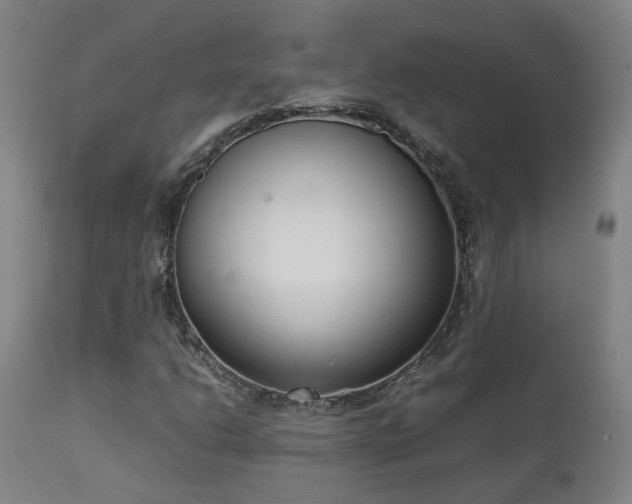 X0000111661206200907171601