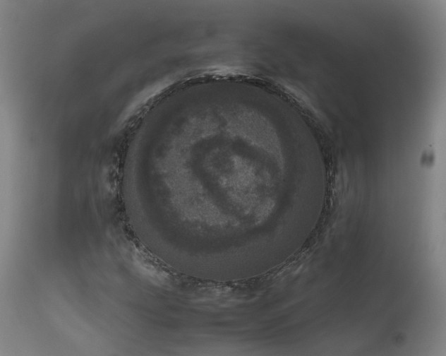 X0000111661207200907171601