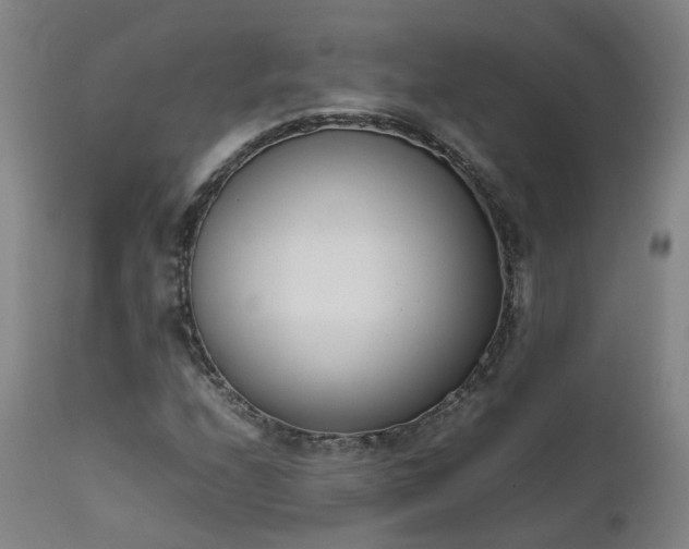X0000111661208200907171601