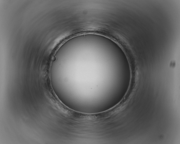 X0000111661210200907171601