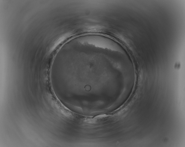 X0000111661211200907171601
