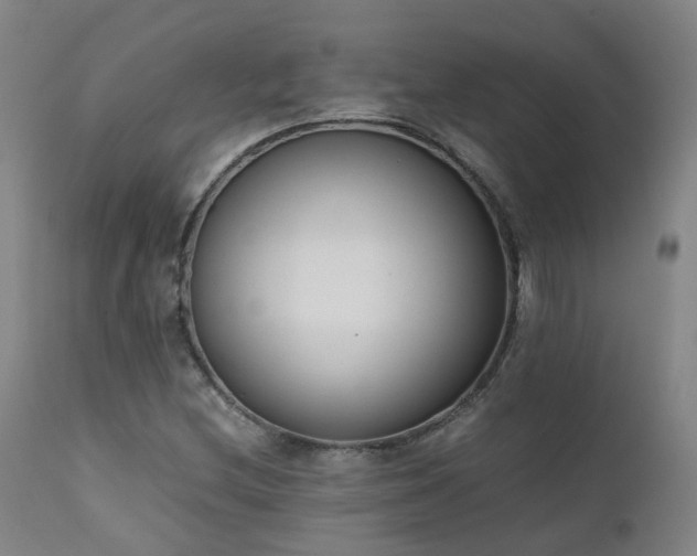 X0000111661212200907171601