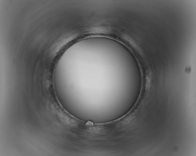 X0000111661213200907171601