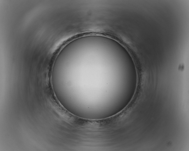X0000111661214200907171601