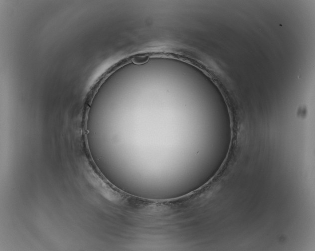 X0000111661216200907171601