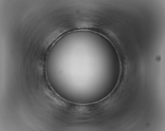 X0000111661217200907171601