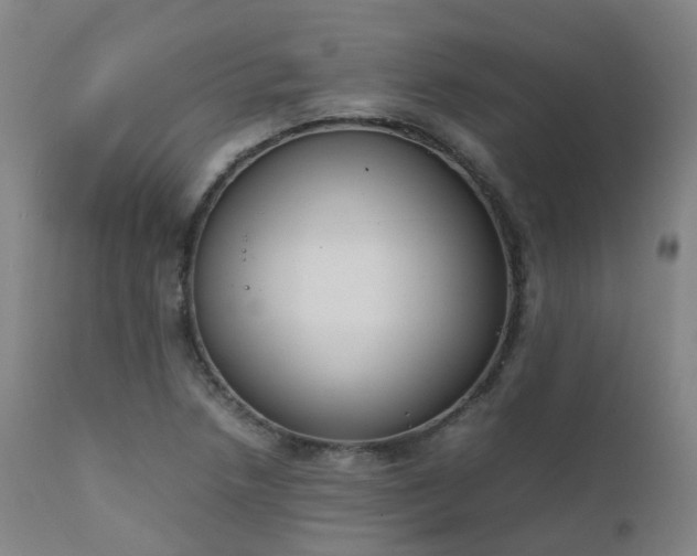 X0000111661218200907171601