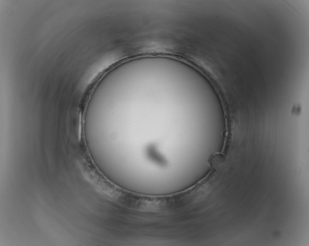 X0000111661219200907171602