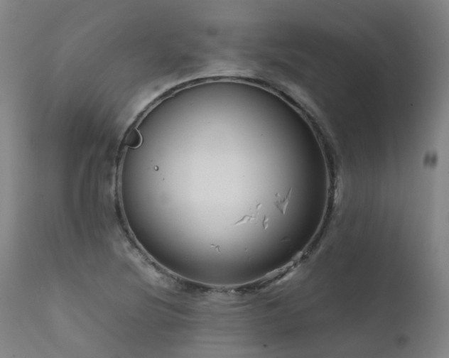 X0000111661220200907171602