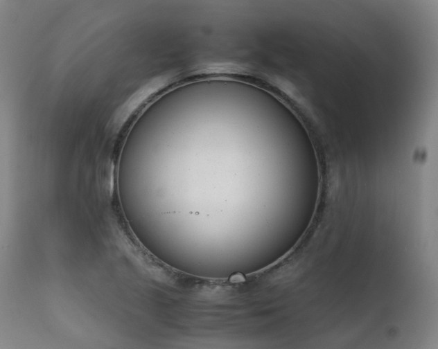 X0000111661221200907171602