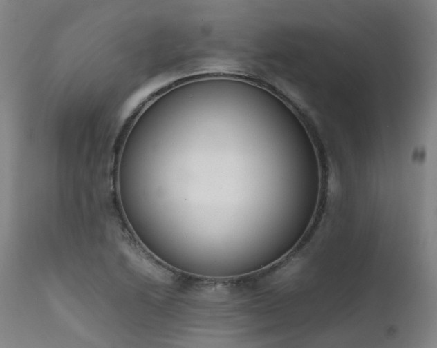 X0000111661222200907171602