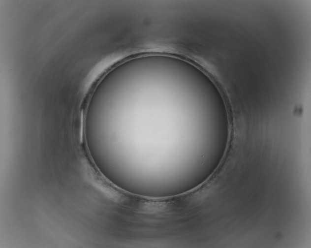 X0000111661223200907171602