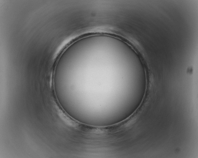 X0000111661224200907171602