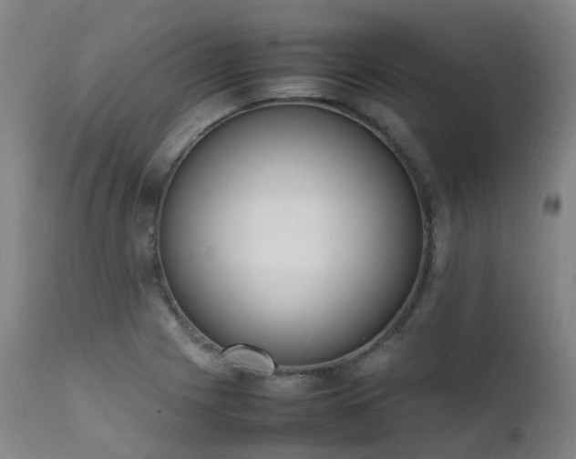 X0000111661225200907171602