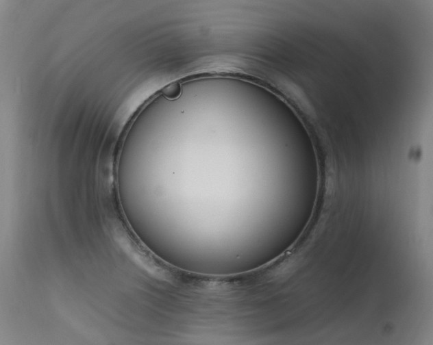 X0000111661226200907171602