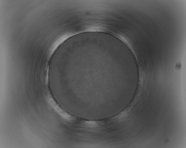 X0000111661227200907171602