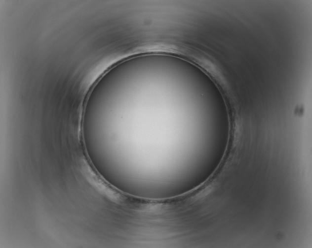 X0000111661228200907171602