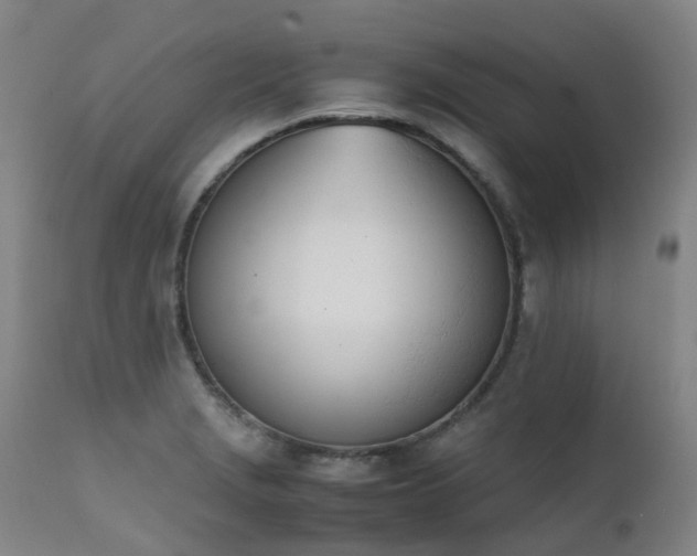 X0000111661229200907171602