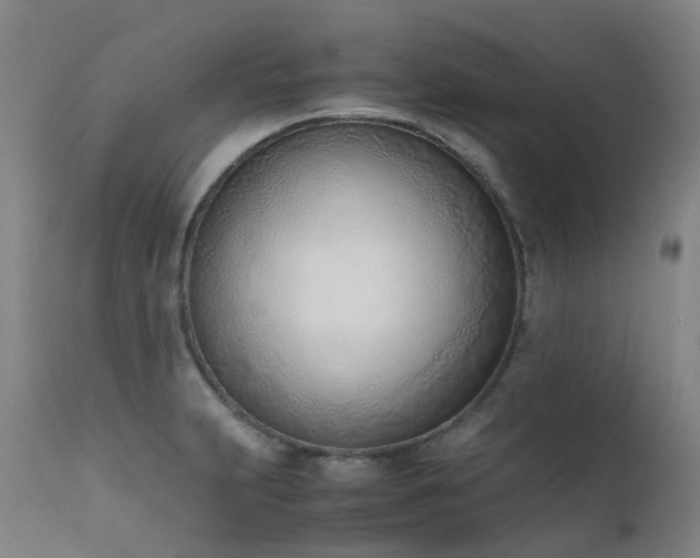 X0000111661231200907171602