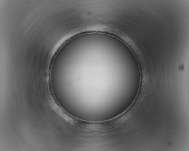 X0000111661232200907171602