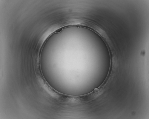 X0000111661234200907171602