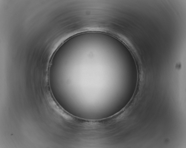 X0000111661236200907171602