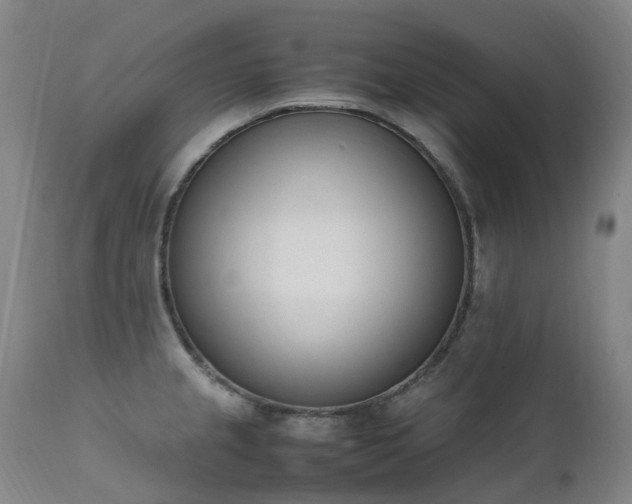X0000111661237200907171602