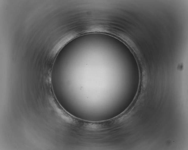 X0000111661241200907171602