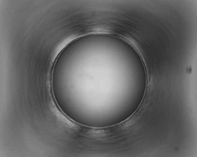 X0000111661243200907171602