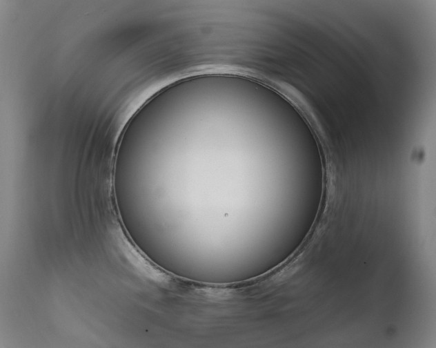 X0000111661244200907171602