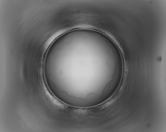 X0000111661245200907171602