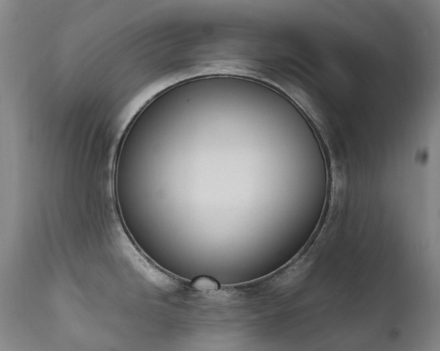 X0000111661246200907171602