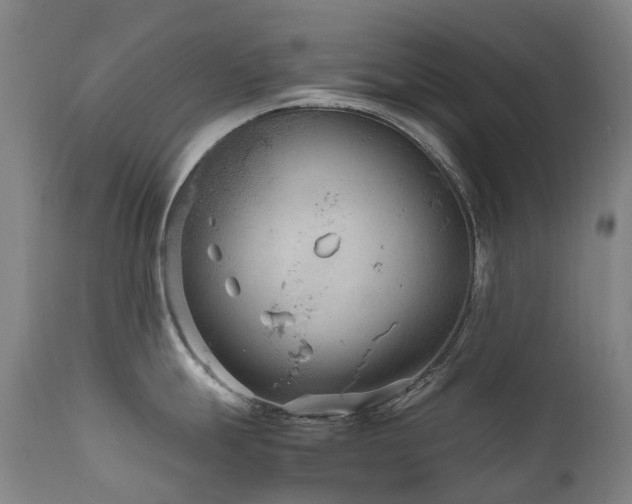 X0000111661247200907171602