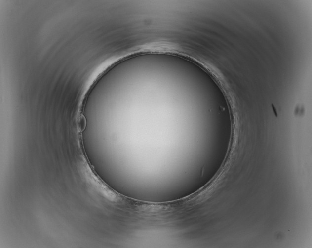 X0000111661248200907171602