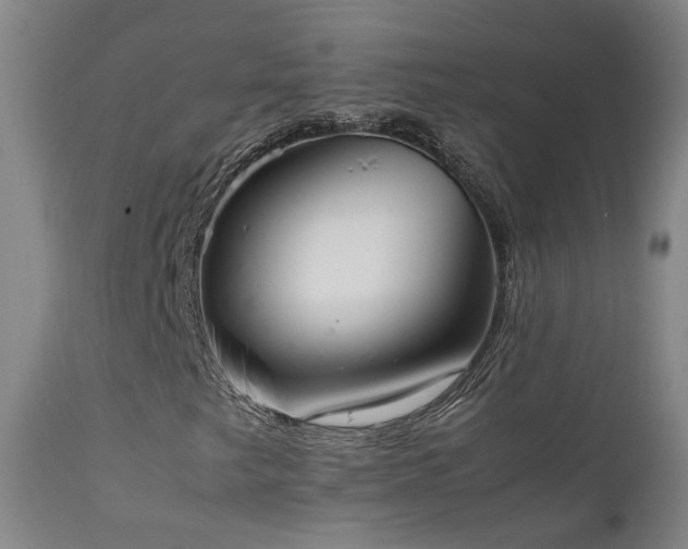 X0000111661249200907171601
