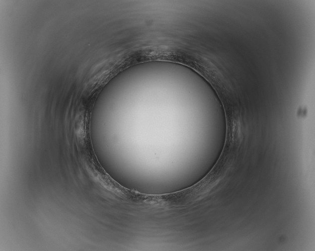 X0000111661250200907171601