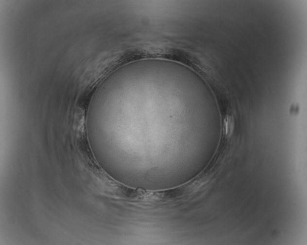 X0000111661251200907171601