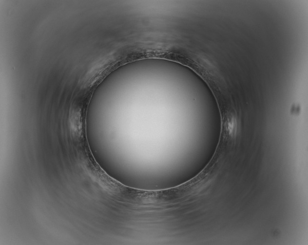 X0000111661252200907171601