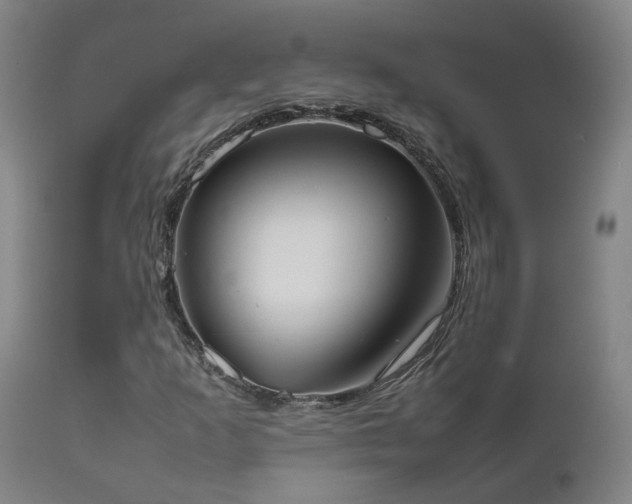 X0000111661253200907171601