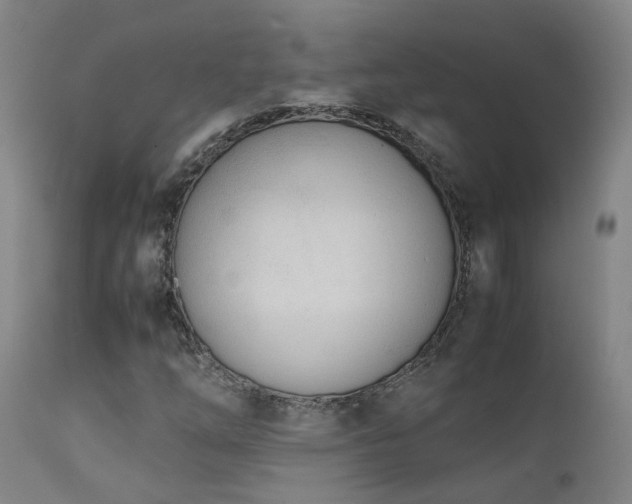 X0000111661254200907171601