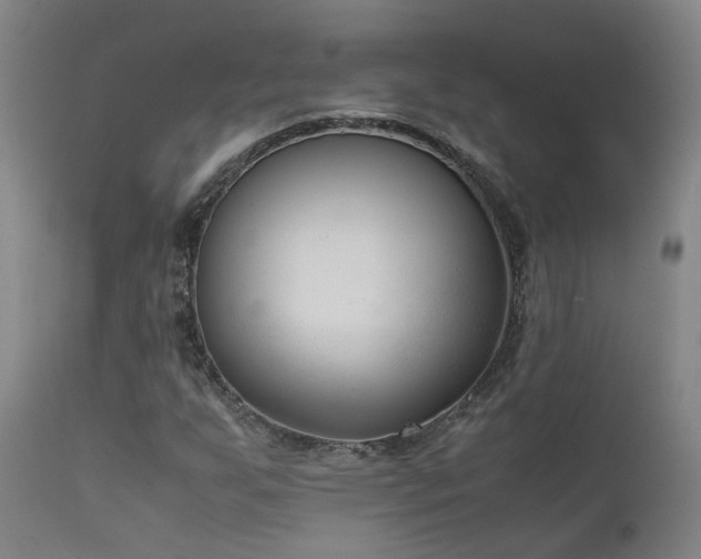 X0000111661255200907171601