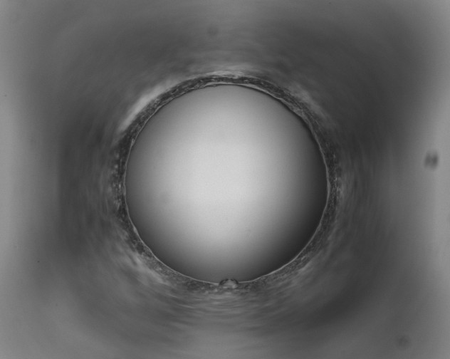 X0000111661256200907171601